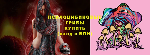 apvp Гусь-Хрустальный