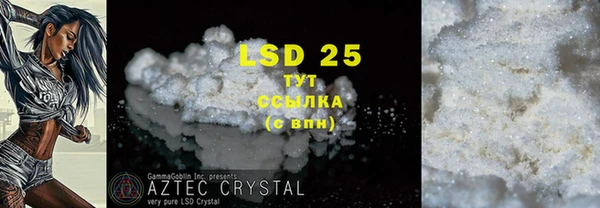 PSILOCYBIN Гусев