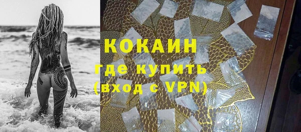 PSILOCYBIN Гусев