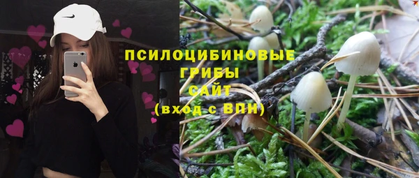 apvp Гусь-Хрустальный