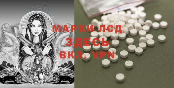 PSILOCYBIN Гусев
