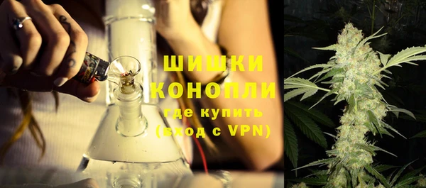 PSILOCYBIN Гусев