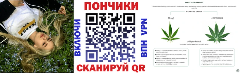Конопля White Widow  Купить закладки  Урень 